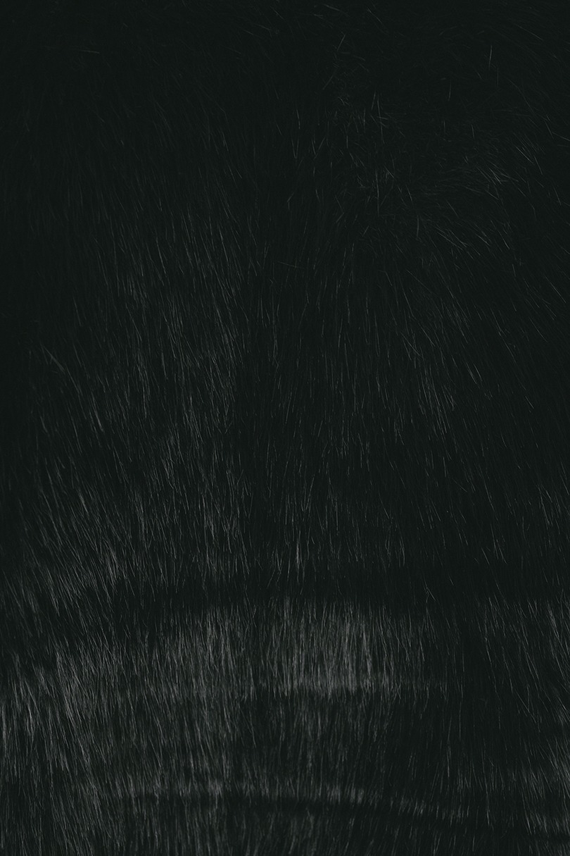 ノーカラーファージャケット 詳細画像 BLK 10