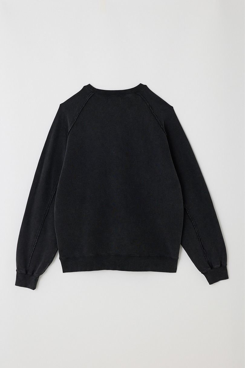 ピグメントダイクルースウェット 詳細画像 BLK 14