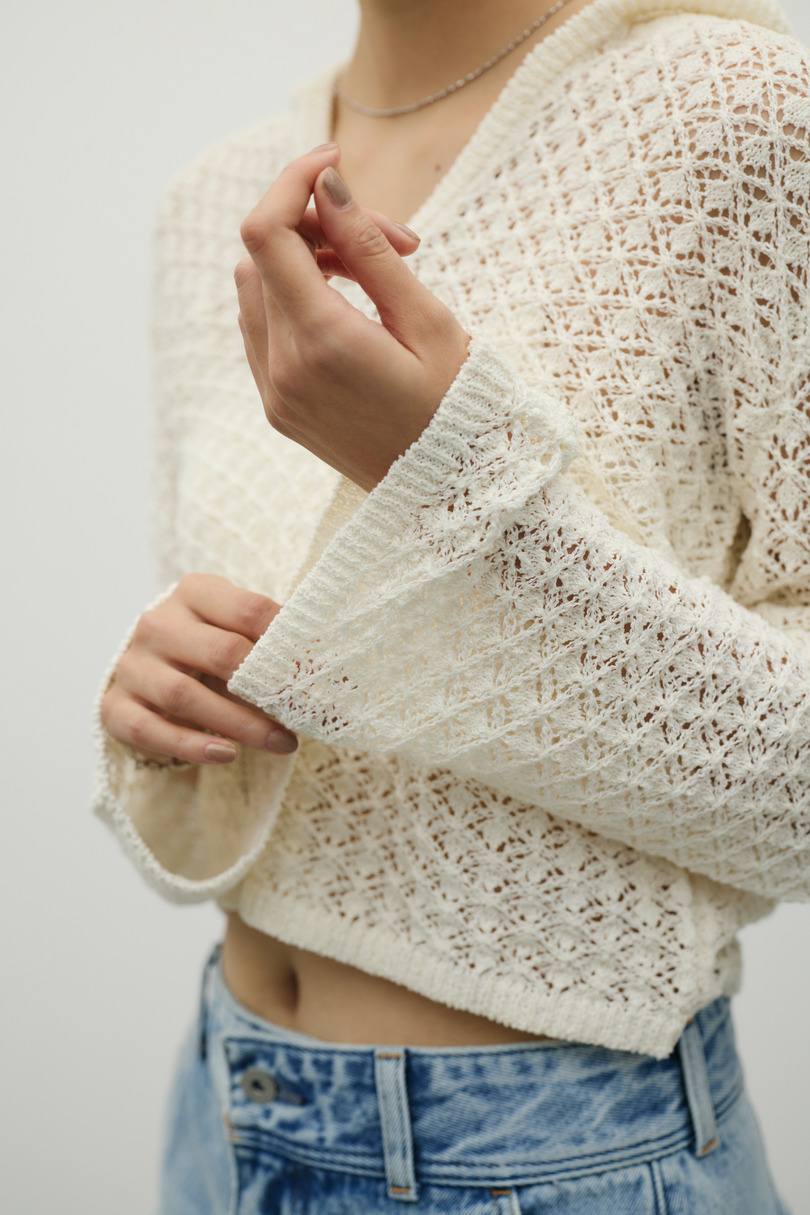 アイレットレースフーディー 詳細画像 IVOY 11