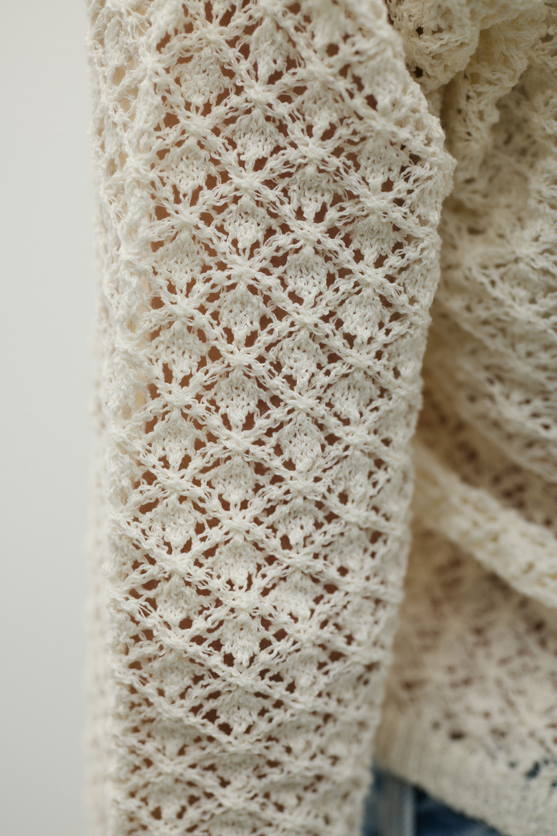 アイレットレースフーディー 詳細画像 IVOY 12