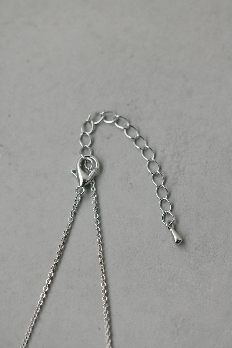 ニュアンスモチーフネックレス 詳細画像 SLV 6